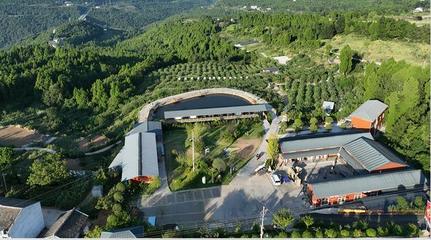 聚會、團建、散心，來這里就對咯！——星級公園觀光服務全體驗