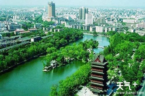 城市人工森林公園的公共價值與深度觀光體驗探索